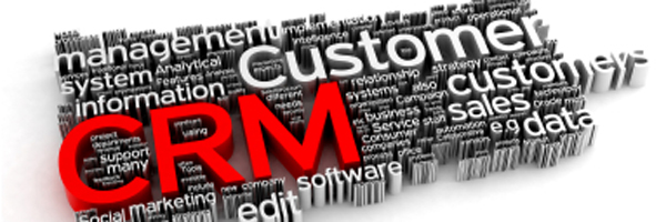 نرم اافزارهای سازمانی رایا و CRM 